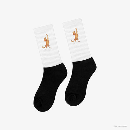 Golden Retriever Having Yoga Session White and Black Socks