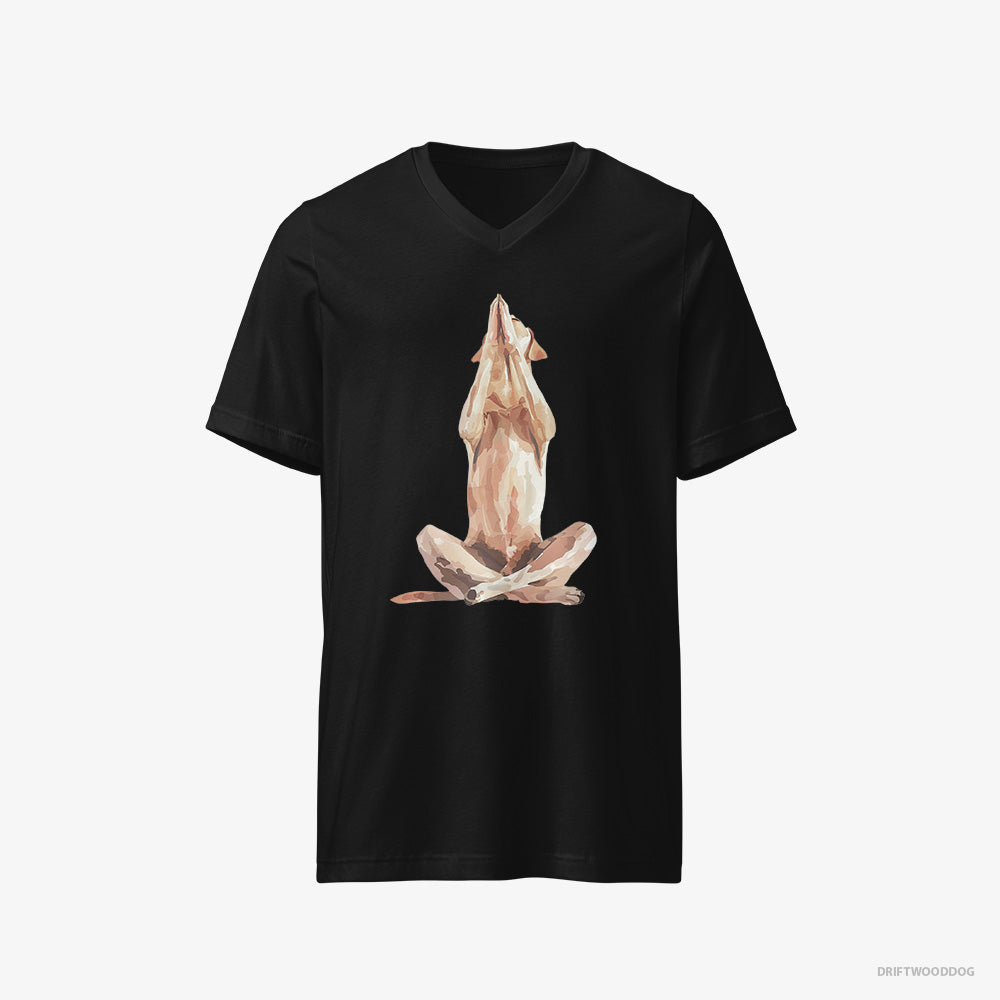 Labrador Retriever T-Shirt – Men Black T-Shirt V-Neck – Doing Yoga (on White Background)