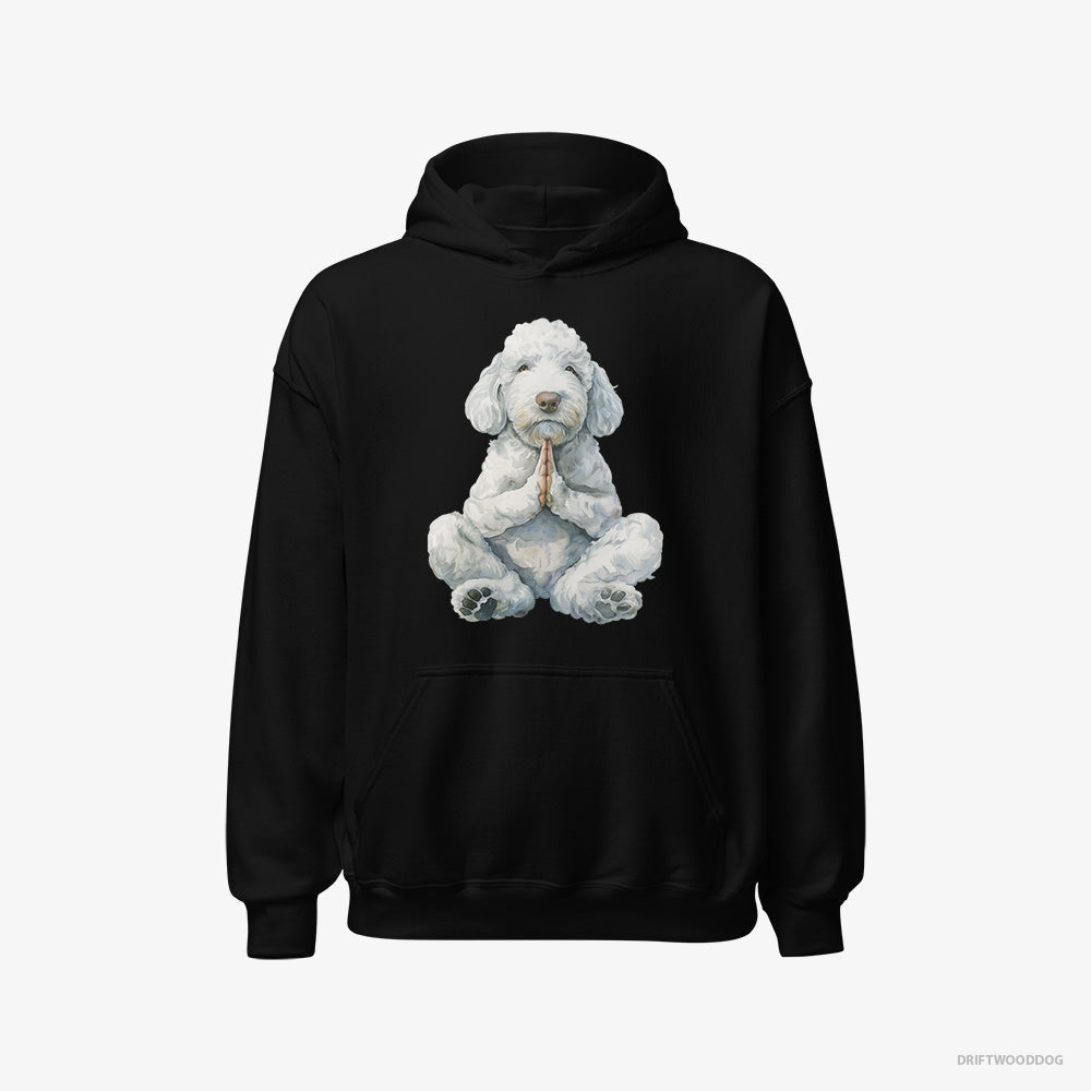 Poodle Having Yoga Session – Men's Hoodie Black – Classic