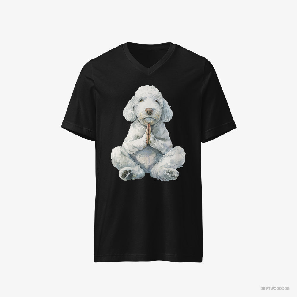 Poodle T-Shirt – Men Black T-Shirt V-Neck – Having Yoga Session (on White Background)