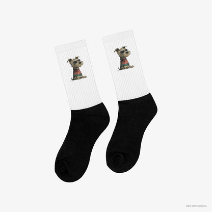 Yorkshire Terrier Dressed in Rainbow Attire White and Black Socks