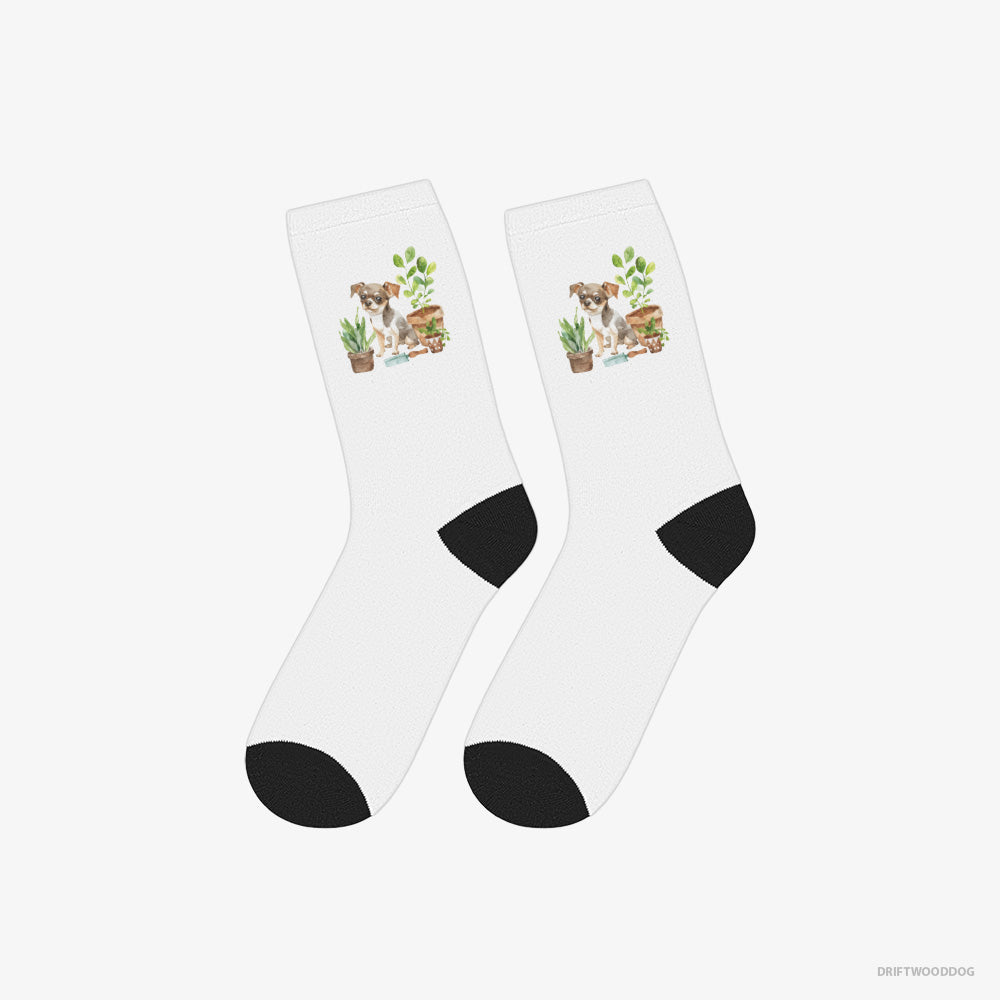 Chihuahua Socks – Unisex White Socks Classic – Gardening with Care (on White Background)