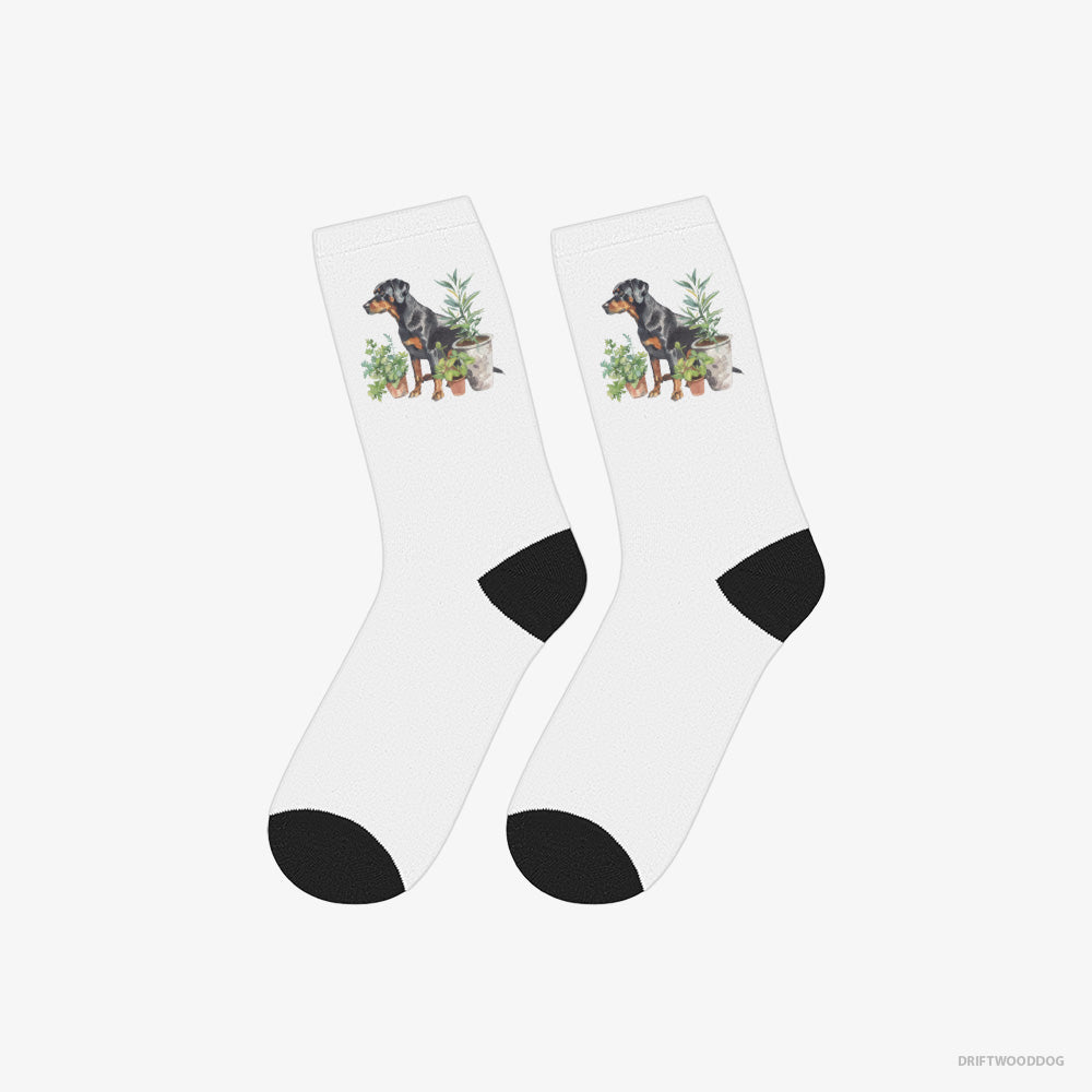 Dobermann Socks – Unisex White Socks Classic – Between Plant Pots (on White Background)