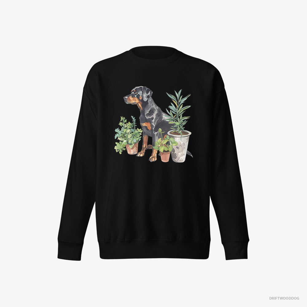 Dobermann Sweatshirt – Men Black Sweatshirt Eco-Friendly – Between Plant Pots (on White Background)