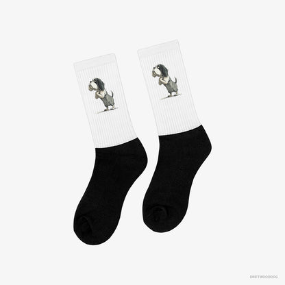 Cavalier King Charles Spaniel Begging White and Black Socks