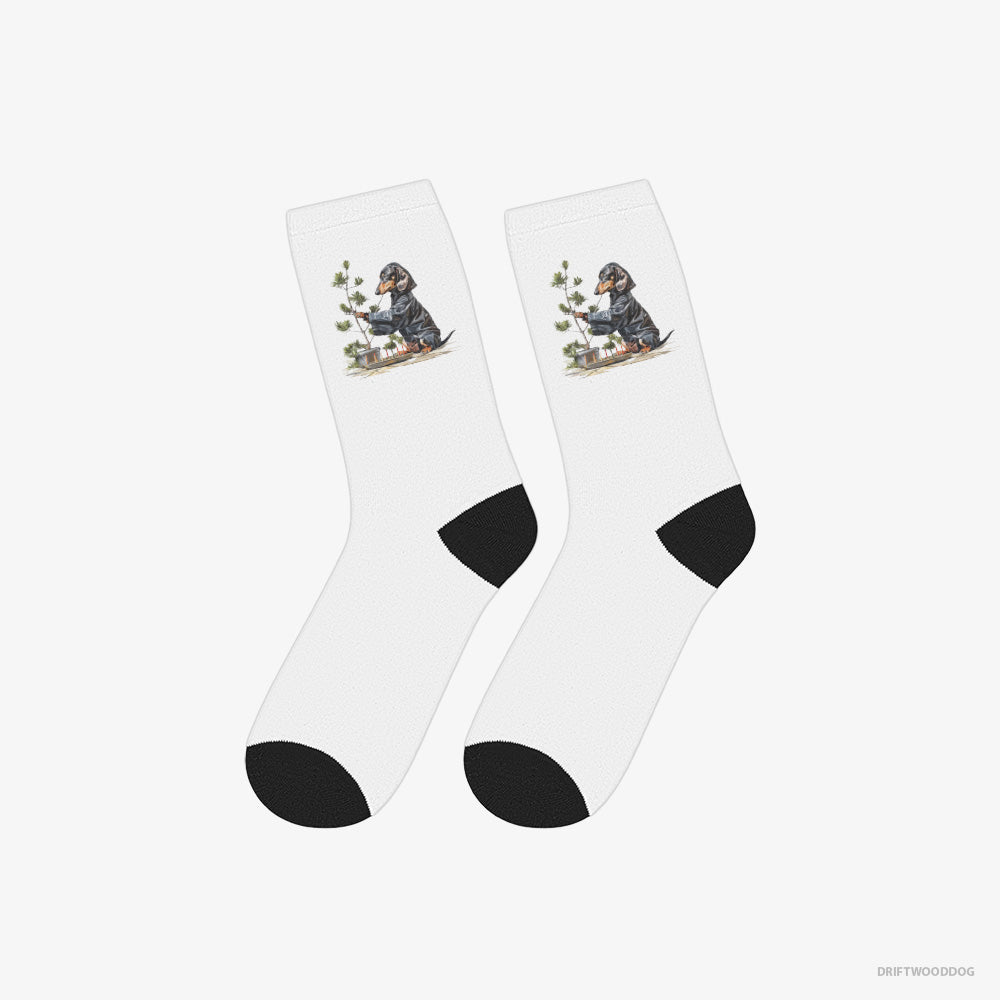 Dachshund Caring for Japanese Garden – Socks White – Classic