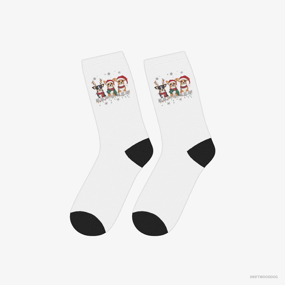 Corgi Socks – Unisex White Socks Classic – Puppies in a Jolly Christmas Mood (on White Background)