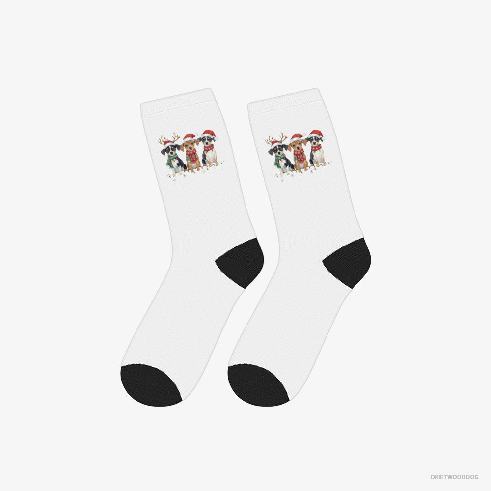 Jack Russell Terrier Socks – Unisex White Socks Classic – Puppies in a Christmas Theme (on White Background)