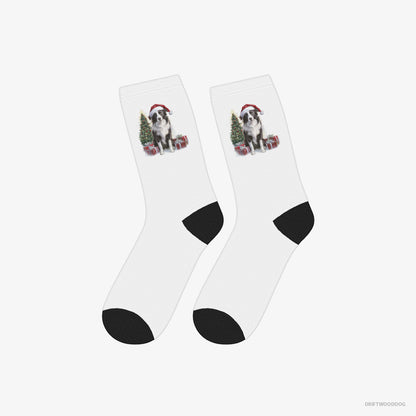 Border Collie Socks – Unisex White Socks Classic – Sitting Next to a Christmas Tree and Gifts (on White Background)