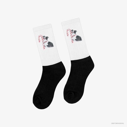 Border Collie by a Giant Christmas Lollipop White and Black Socks