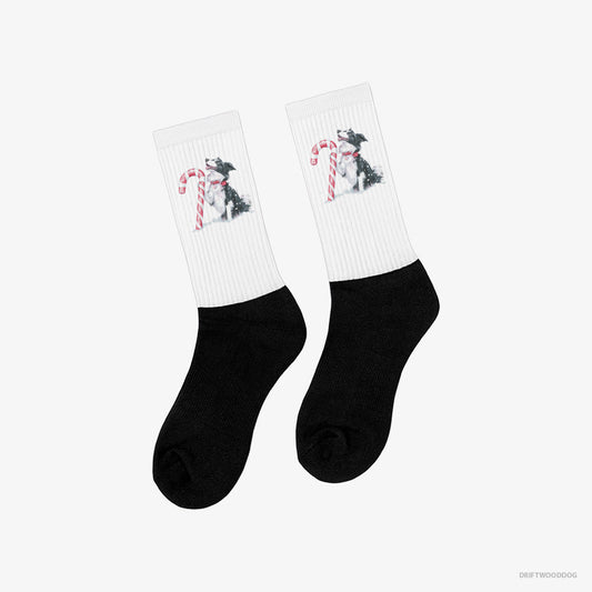 Adorable Border Collie with a Christmas Candy Cane – Socks White and Black – Classic