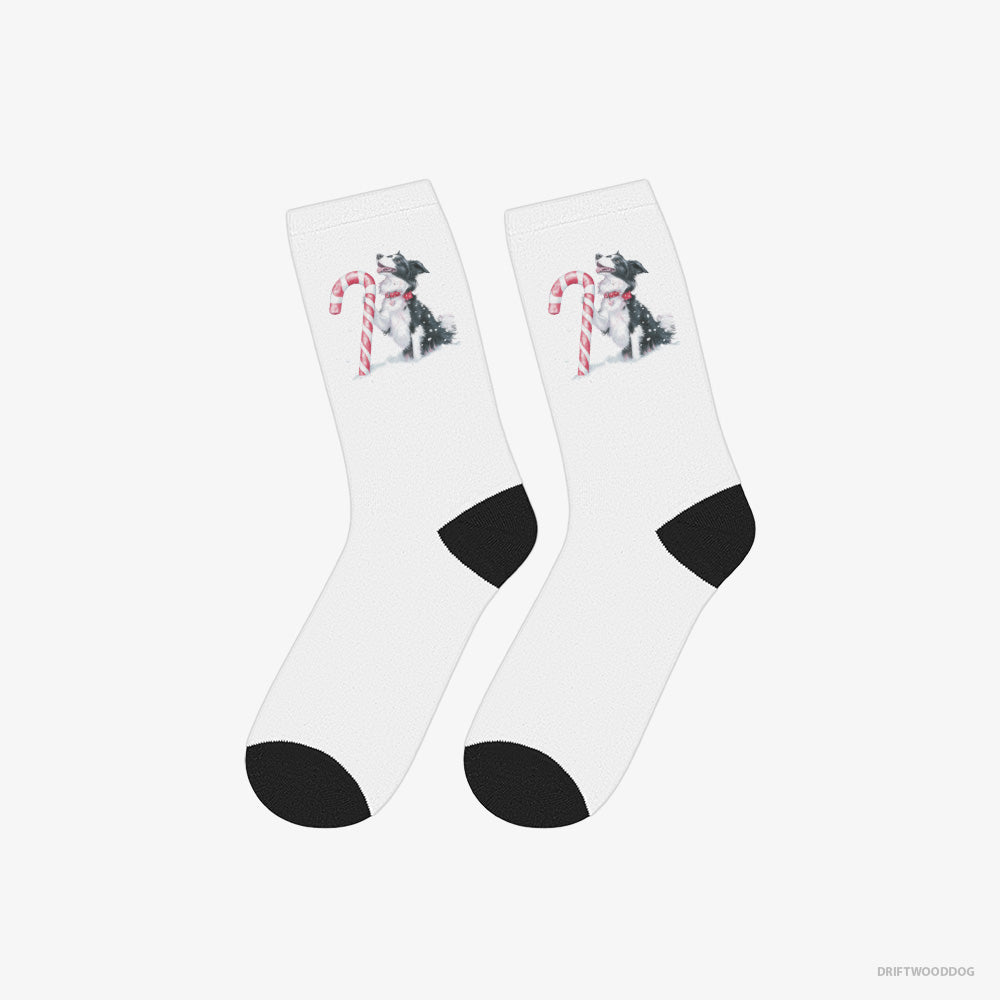 Border Collie Socks – Unisex White Socks Classic – with a Christmas Candy Cane (on White Background)