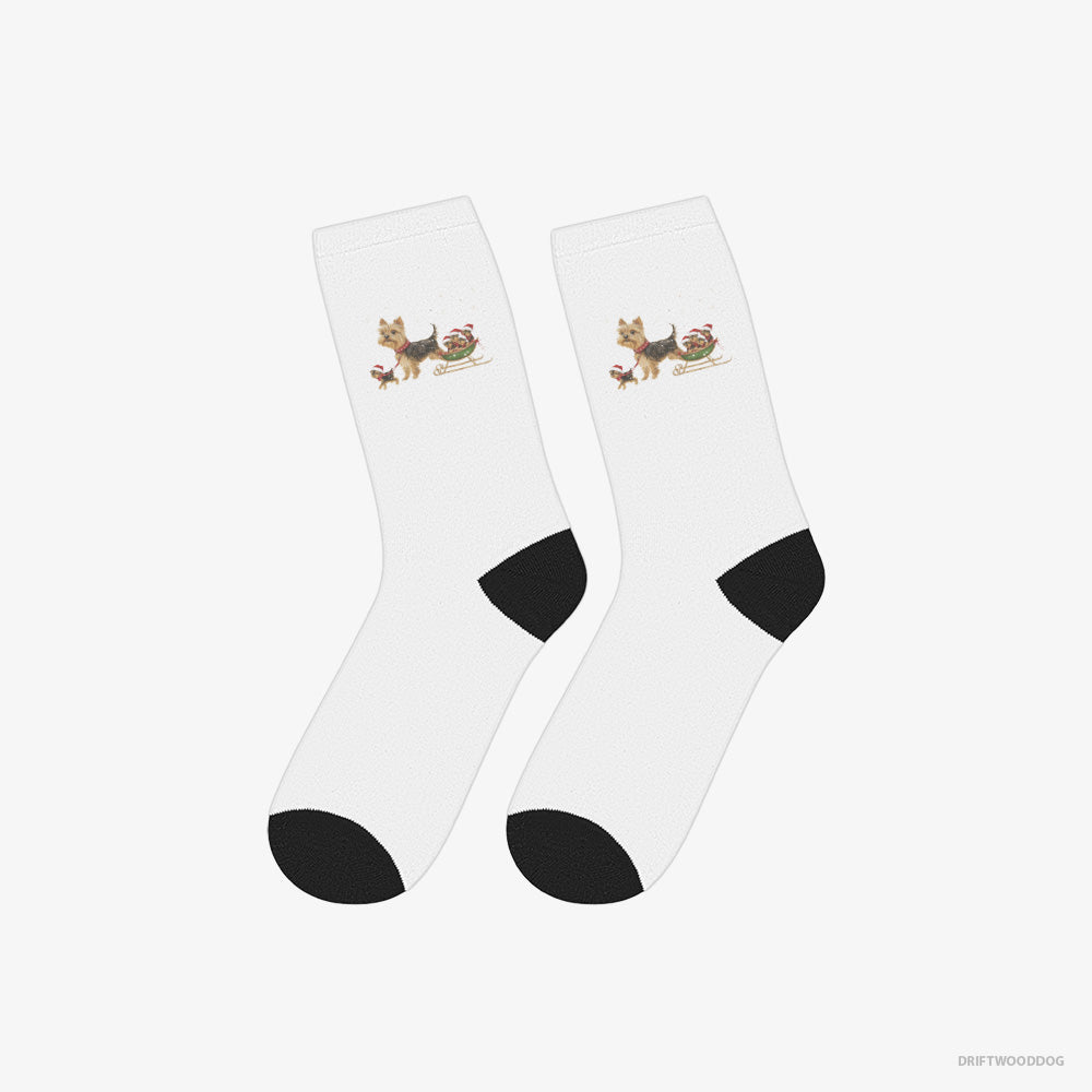 Yorkshire Terrier Enjoying a Sled Rid – Socks White – Classic