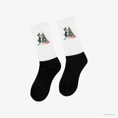 Border Collie Putting the Star on Top of the Christmas Tree White and Black Socks